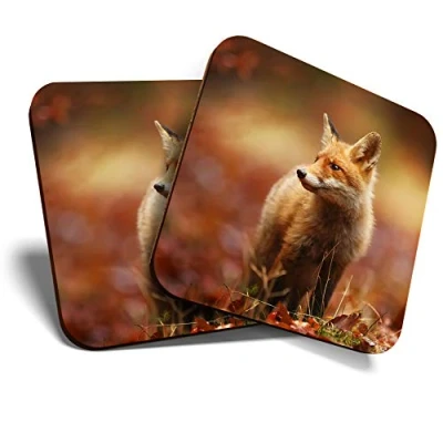 Image of Great Coasters (Set of 2) Square/Glossy Quality Coasters/Tabletop Protection for Any Table Type Cute Ginger Fox Autumn Wildlife #8116