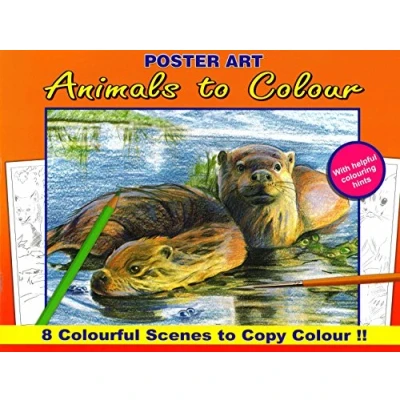 Image of Pig Farm Animals To Colour A4 Advanced Quality Colouring Book