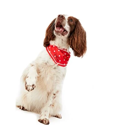Image of Rosewood Joules Red Hello Polka Dot Neckerchief