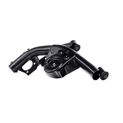 Image of 50705760, 50707778, 51856882, 51856884, 51932972 Suspension Arm REINHOCH RH05 5008 Rear Axle Right Trailing FIAT: Panda II Hatchback