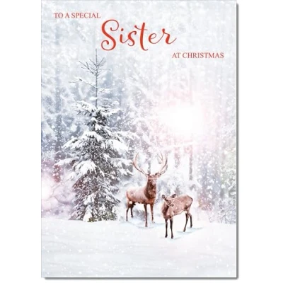 Image of doodlecards Sister Christmas Card Deers in Forest Large A4 Size for with Plain Envelope