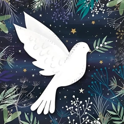 Image of GBCC Charity Christmas Cards Pack of 6 with a Dove at Night Design Eco Friendly Xmas Multipack Envelopes