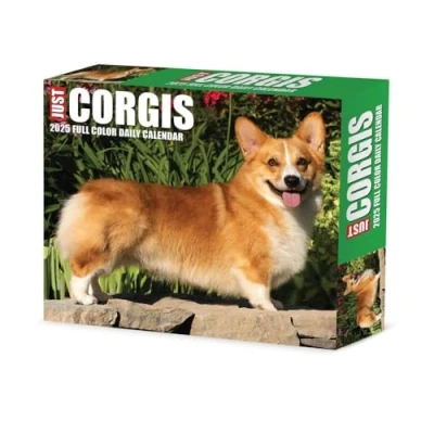 Image of Corgis 2025 Box