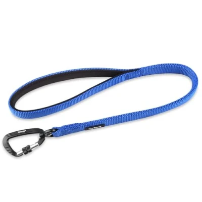 Image of Lightweight Aluminum Alloy Hook Buckle, High grade Upgraded Traffic Durable Nylon 24 Inch Short Leash, with soft Neoprene Lining Handle, Professional Training (24 Long, Bright Blue)