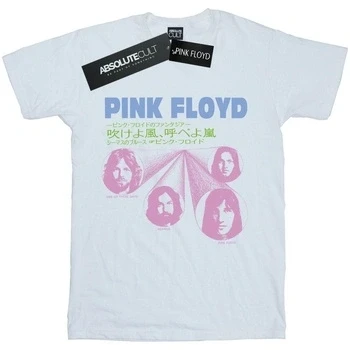 Image of Pink Floyd Men&#039;s One of These Days T Shirt White Large