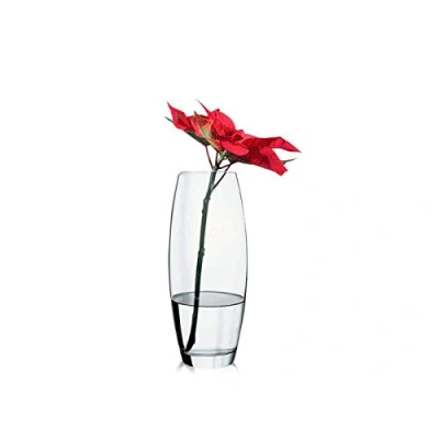 Image of Pasabahce Botanica 43966 Vase Made Of Glass with Tummy, Elegant, Timeless, Height 26 cm