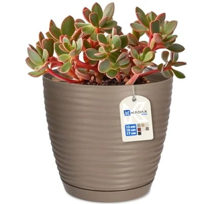 Image of KADAX Flower Pot, Plastic Plant Pot with Saucer, Indoor Planter for Houseplants, Herbs, Lightweight Flowerpot Living Room, Office (⌀15 cm, Beige)