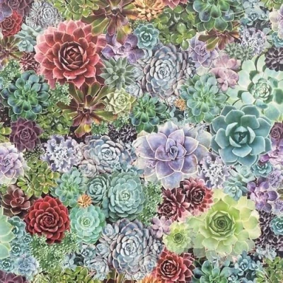 Image of Arthouse Succulent Living Wall Multi Wallpaper 259402