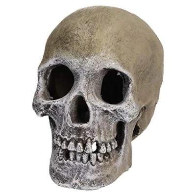 Image of AB Tools Aquatic Aquarium Decor Life Like Human Skull Fish Tank Ornament 11x17x14cm