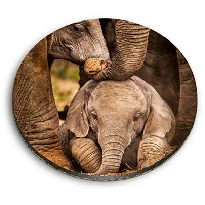 Image of 1 x Round MDF Magnet Baby African Elephant Herd Africa Animal 44192