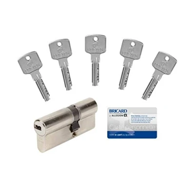 Image of Bricard 15106 Cylinder A6, 30 + 40 Breakaway 5 Keys Nickel Plated