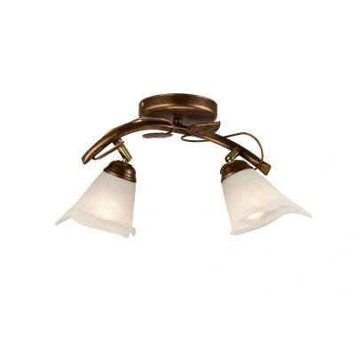 Image of Bluszcz Multi Arm Semi Flush Ceiling Light With Glass Shades, Brown, 2x E14
