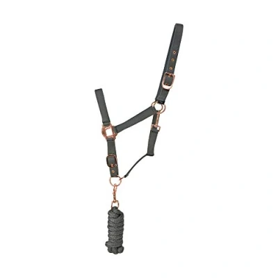 Image of Hy Rose Gold Headcollar and Lead Rope (Cob) (Grey/Rose Gold)