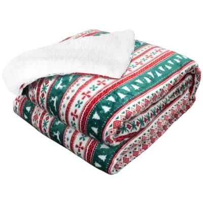 Image of anysun Electric Blanket, 200 x 150cm Throw Blanket for Sofa, Double with 6 Heat Levels, 10 Hours Timer Auto Off, Overheat Protection Heated Machine Washable