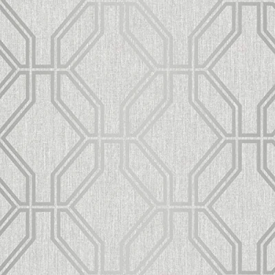 Image of Highgrove Trellis Duplex Wallpaper Grey/Silver Rasch 275277