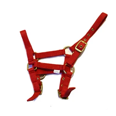 Image of Rhinegold Nylon Foal Headcollar Red