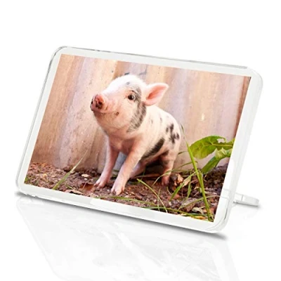 Image of Cute Piglet Classic Fridge Magnet Micro Pig Farm Animal Baby Fun #15589