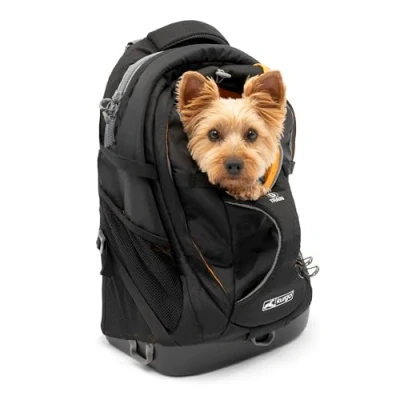 Image of Kurgo G Train Pack, Carrier Backpack for Small Dogs and Cats, Ideal Hiking or Travel, Waterproof Bottom, Black