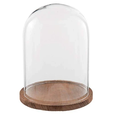 Image of Small Glass Bell Jar Cloche Wooden Base Display Cover Stand 29 cm