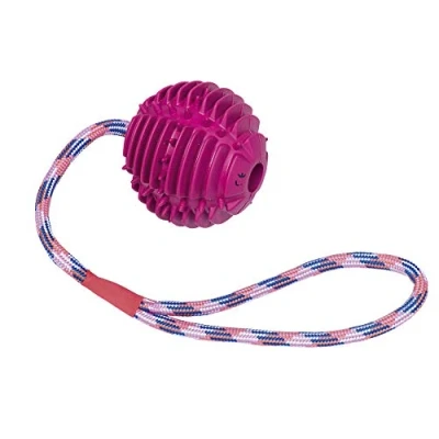 Image of Nobby Solid rubber ball with rope ball: 7.5 cm; rope: 30 cm