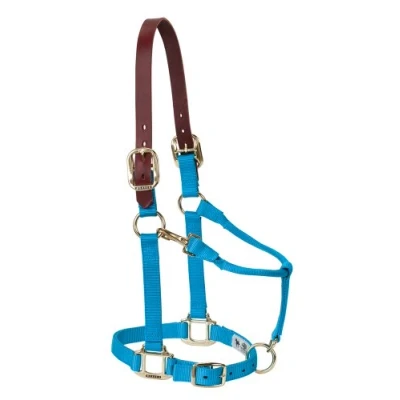 Image of Weaver Leather Adjustable Breakaway Nylon Horse Halter, Hurricane Blue, Weanling/Pony
