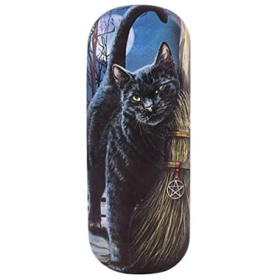 Image of Glasses/Spectactle Case/Holder Brush with Magik (Cat) Lisa Parker