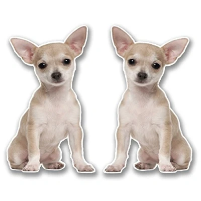 Image of 2 x 10cm Chihuahua Vinyl Sticker Decal Laptop Tablet Car Dog Animal #6303 (6cm Wide Tall)