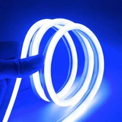 Image of ausuky DC 12V Flexible LED Strip Waterproof Neon Lights Silicone Tube 1/3/5 m Lamp Bar (Blue,5m)