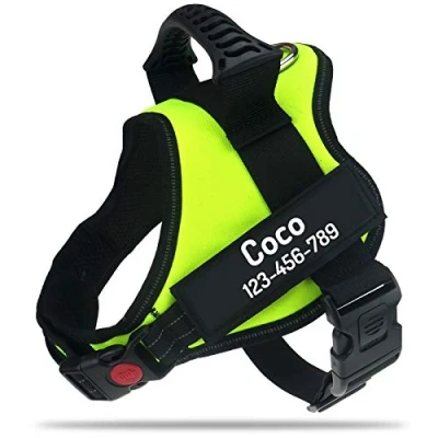 Image of PawPawify Personalised No Pull Dog Harness with Custom Name and Phone Number, Heavy Duty Pet Vest to Prevent Tugging, Pulling, or Choking, Training Walking (Green, XS Chest 17 22in)
