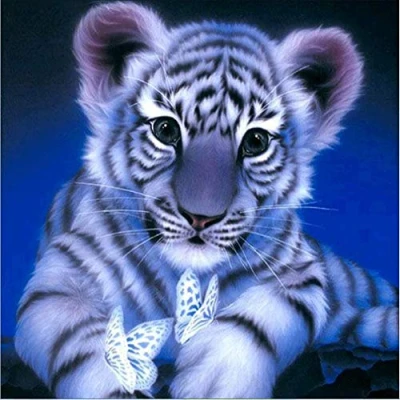 Image of Abillyn Embroidery Cross Stitch Kits Blue White Tiger and Butterfly Stamped with Printed Pattern Starter Kit (Tiger)