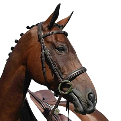 Image of Collegiate Syntovia+ Padded Raised Cavesson Bridle, Brown, Full