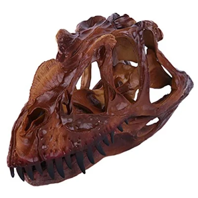 Image of Inzopo Dinosaur Ceratosaurus Skull Resin Fossil Model Collectibles Home Bar Decor