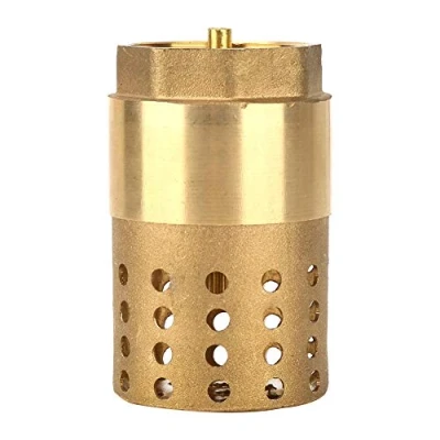 Image of DN25 Female Check Valve£¬Brass Valve One Way Thread Foot Mesh with Holes Strainer Filter