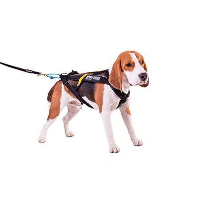 Image of Non Stop Dogwear Freemotion Harness, Customisable, black