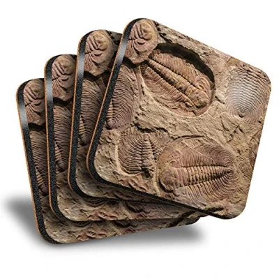 Image of Destination Vinyl ltd Great Coasters (Set of 4) Square Fossil Trilobite Dinosaur Drink Glossy Coasters/Tabletop Protection for Any Table Type #45062