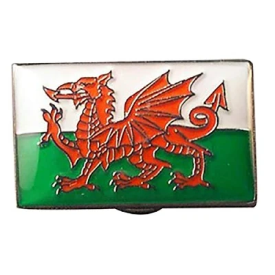 Image of Welsh Dragon Flag of Wales St David Cymru Metal Enamel Pin Badge Lapel Brooch
