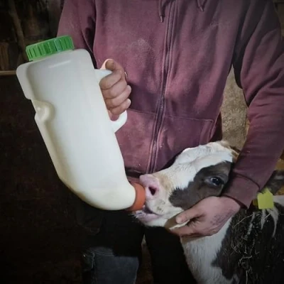 Image of 4 Litre Calf Milk Feeding Bottle, High Capacity Drinker for Young Replacer With Handle &amp; Rubber Teet