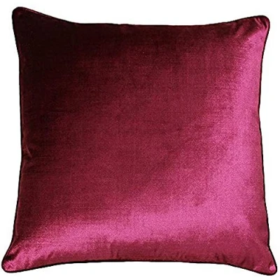 Image of Paoletti Luxe Velvet Piped Feather Filled Cushion Red One Size
