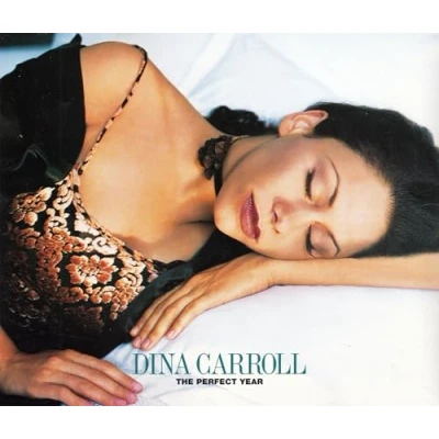 Image of Dina Carroll The Perfect Year 1993 UK CD single 580481 2DJ