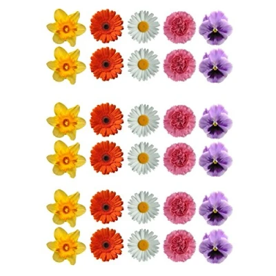 Image of 30 Gorgeous Mixed Spring Flower Selection Edible Wafer Paper Cake Toppers Decorations Daffodil Daisy Gerbera Pansy