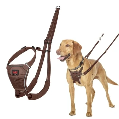 Image of HALTI No Pull Harness to Stop Your Dog Pulling on the Leash. Adjustable, Lightweight and Easy Use. Reflective Training for Medium Dogs (Size M, Deep Walnut)