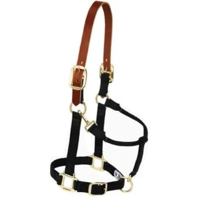Image of Weaver Leather Nylon Adjustable Breakaway Horse Halter, Yearling, Black
