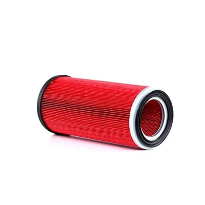 Image of 1654606N00, 16546G9801, AT120NS023, AY120NS023 Air Filter ASHIKA 20 01 120 288,5mm 135, 132mm Insert NISSAN: Cabstar E Platform / Chassis