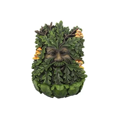 Image of Nemesis Now D4267M8 Elderwood Wall Plaque 19cm Green, Polyresin, 23.8cm