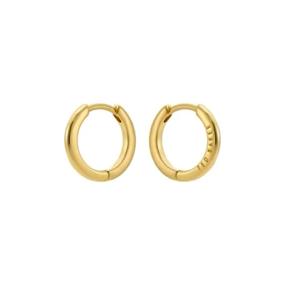 Image of Ted Baker Crisele Logo Hoop Earrings (14mm) For Women (Gold)