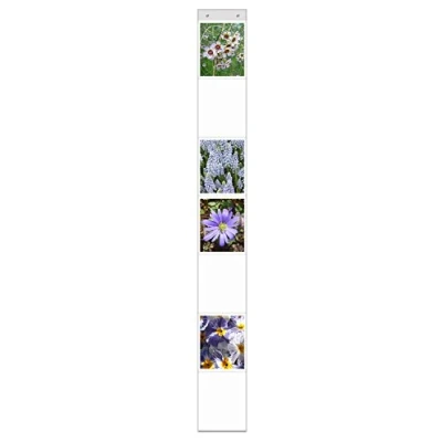 Image of trendfinding Photo Curtain with 7 Pockets in A4 Format