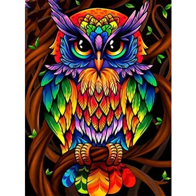 Image of OWN4B Cross Stitch Kits Stamped, Colorful Owl Printed Pattern 11CT 14.2x18.1 inch DIY Embroidery Kit (Owl)