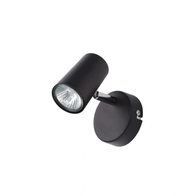 Image of Harvey Spotlight