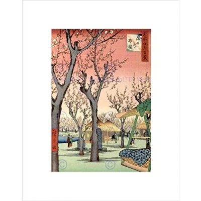 Image of Wee Blue Coo Painting Japanese Woodblock Cherry Blossom Tree Park Wall Art Print