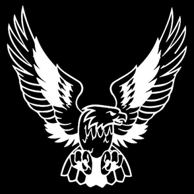 Image of Oce180anYLV Great promotion! High end Car Sticker Home, Fashion Eagle Body Wild Animal Decorative PET Reflective White